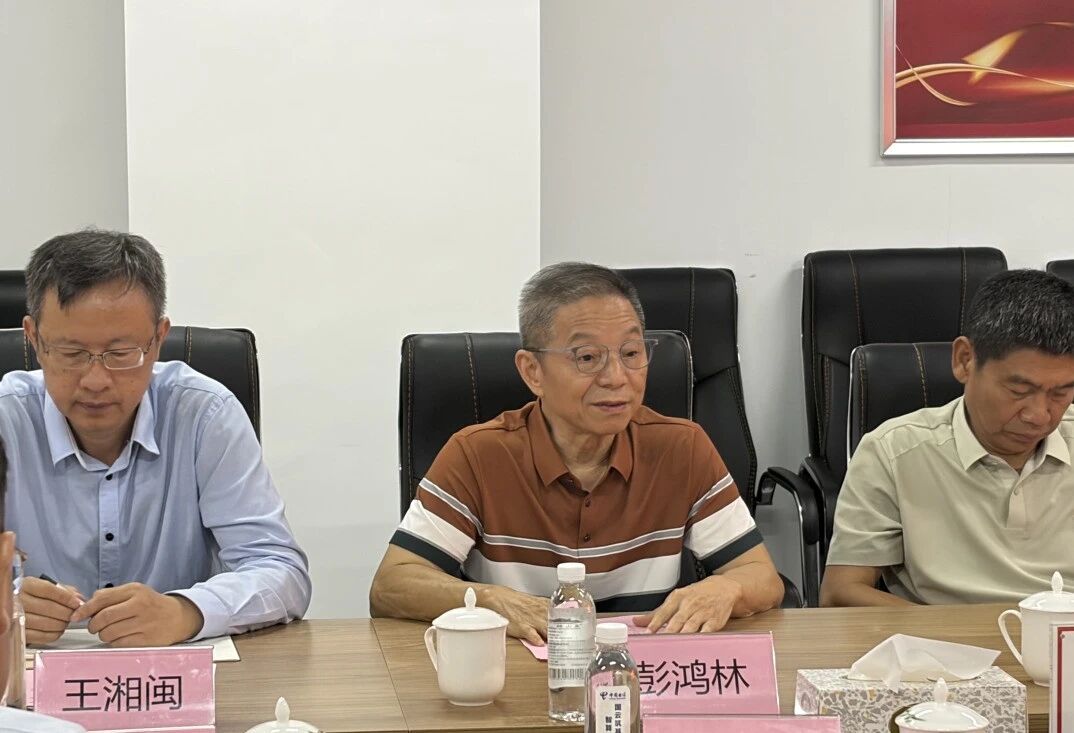 Peng Honglin speaking at the cooperation meeting